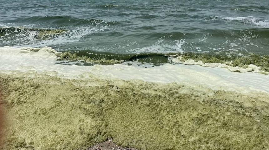 İznik Gölü'nden korkutan görüntüler... Girmek yasaklandı!