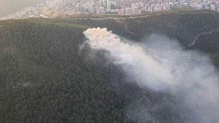 İzmir'deki orman yangını kontrol altında