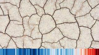 İklim krizi: COP26'da verilen sözlerin ne kadarı tutuldu?