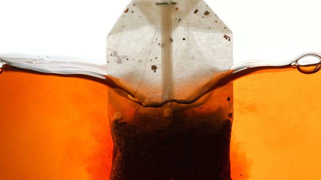 Poşet çaydan çıkan dehşete düşürdü! Lütuf gibi hayatımıza girdi ama şu anda bela