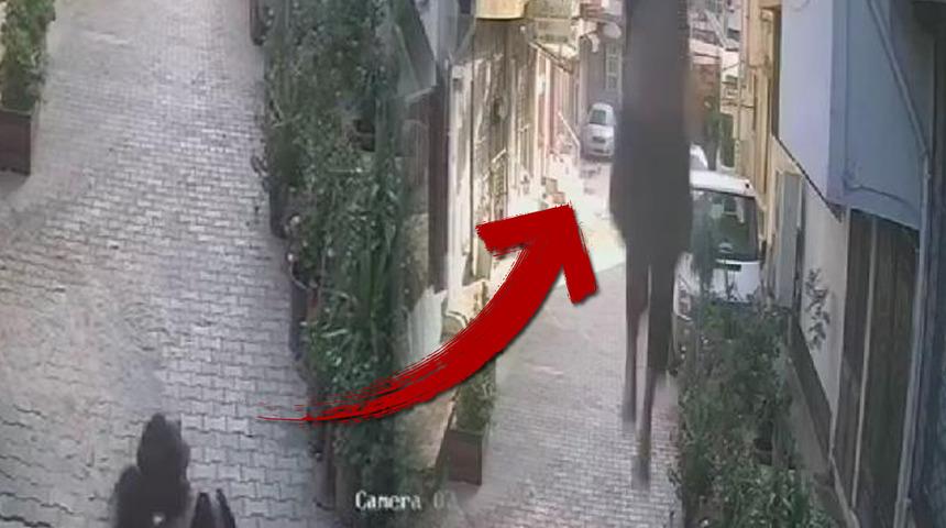 Sokak ortasında cansız bedeni bulunmuştu! Aylin Arslan'ın çatıdan düştüğü anın görüntüsü ortaya çıktı