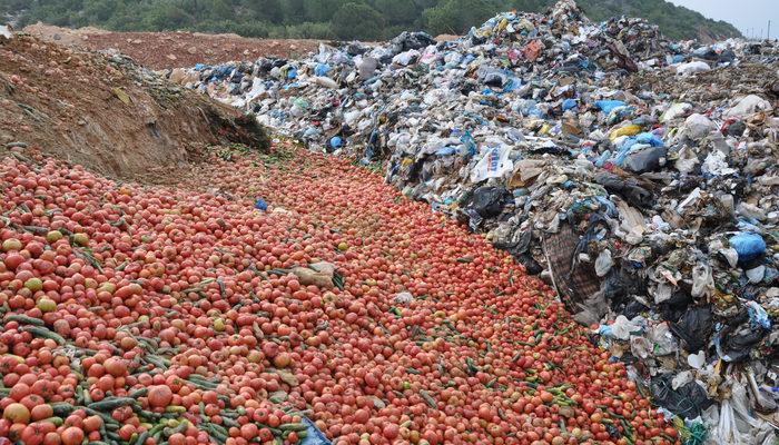 Sebzeler çöpe mi dökülüyor? Sosyal medyada görüntüler gündem oldu! Açıklama geldi