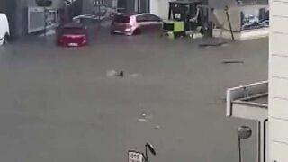 Sel sularından yüzerek kaçtı! Canını zor kurtardı... Ankara'yı göle çeviren sağanaktan yeni görüntüler