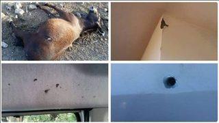 HDP'li vekil Ferhat Encü'den olay Uludere tweeti