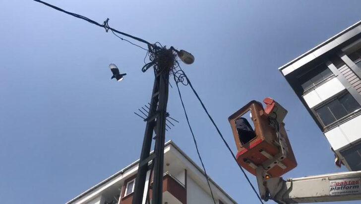 İtfaiyenin 'Kuş mesaisi'; Yavru kargalar yuvaya konuldu, mahsur kalan ebabil kuşu kurtarıldı G2