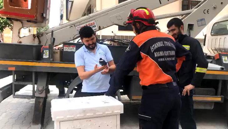 İtfaiyenin 'Kuş mesaisi'; Yavru kargalar yuvaya konuldu, mahsur kalan ebabil kuşu kurtarıldı G3