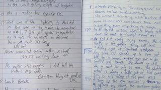 Johnny Depp Amber Heard davasının notları rekor fiyattan satılık