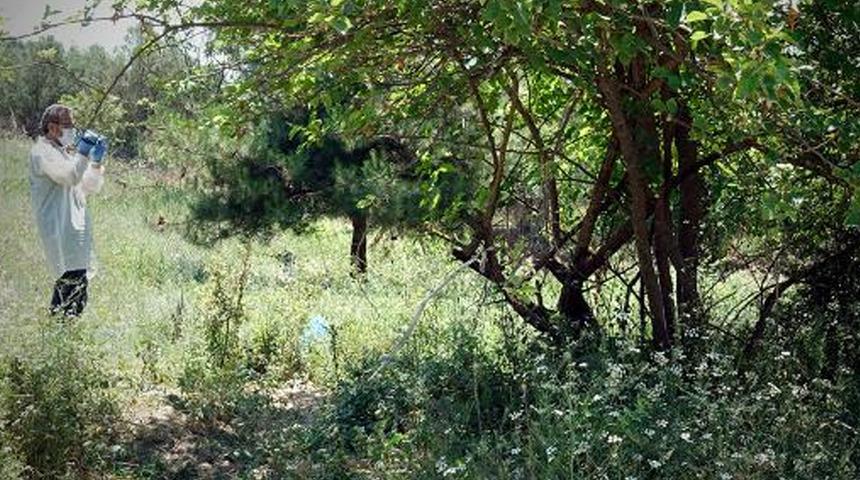 Bebeğini fabrika bahçesine atan vicdansız annenin ifadesi ortaya çıktı: Birlikte olduğumu ailem bilmiyordu