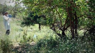 Bebeğini fabrika bahçesine atan vicdansız annenin ifadesi ortaya çıktı: Birlikte olduğumu ailem bilmiyordu