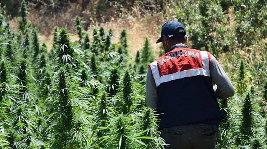 SON DAKİKA | Eren Abluka 15 Narko Terör Operasyonu başladı! Bakan Soylu duyurdu: Kökü kuruyacak