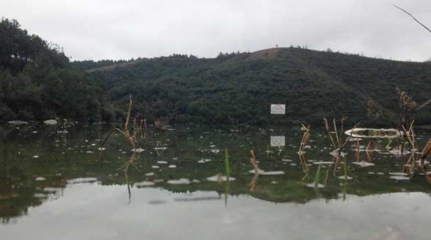 Aylardan sonra sevindiren haber geldi