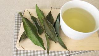 Sindirimi kolaylaştırıyor, kabızlığın önüne geçiyor! İşte avokado yaprağı çayı tarifi
