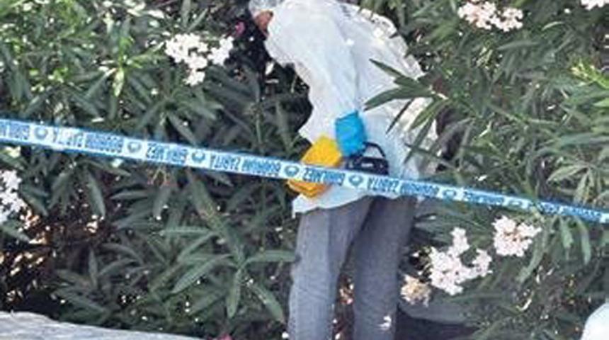 Bodrum'un merkezinde korkunç olay! Kökü kokuya gitti, görünce şoke oldu