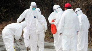 Kuş gribi alarmı yetkilileri harekete geçirdi