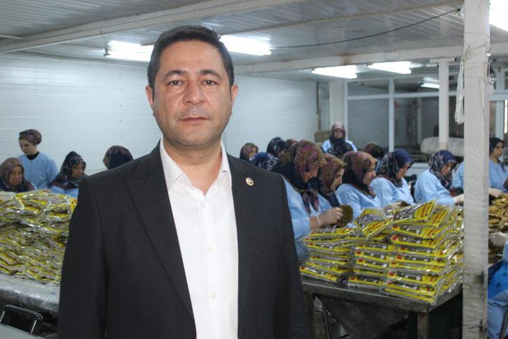 Erbaa'nın tescilli asma yaprağında hasat dönemi başladı G2