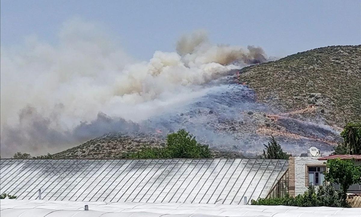 Antalya'da makilik alanda &ccedil;ıkan yangına m&uuml;dahale ediliyor