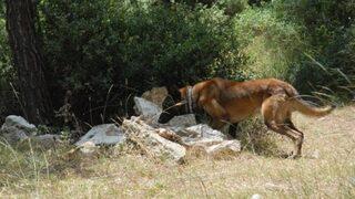 Kuzey Irak'tan geldi, sırtında 14 kilo patlayıcıyla keşif yaptı