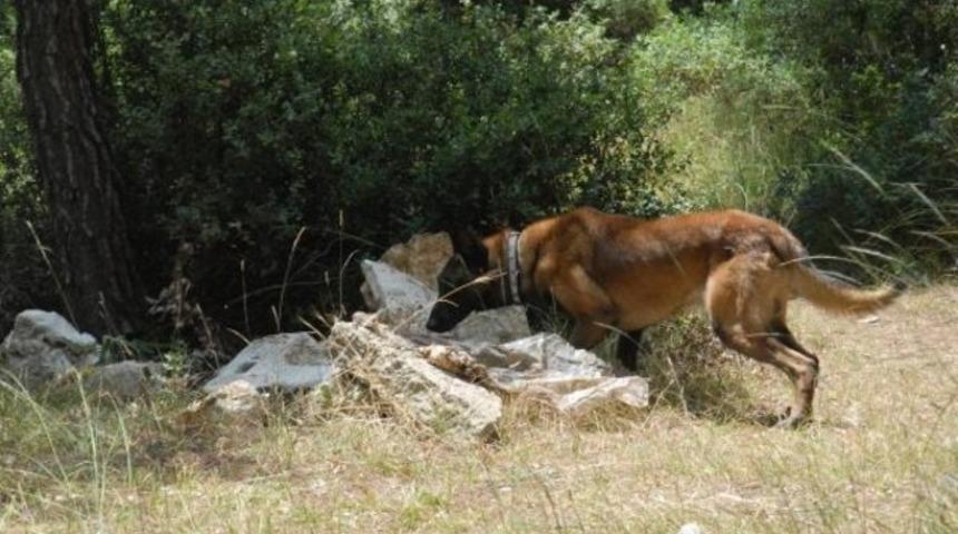 Kuzey Irak'tan geldi, sırtında 14 kilo patlayıcıyla keşif yaptı