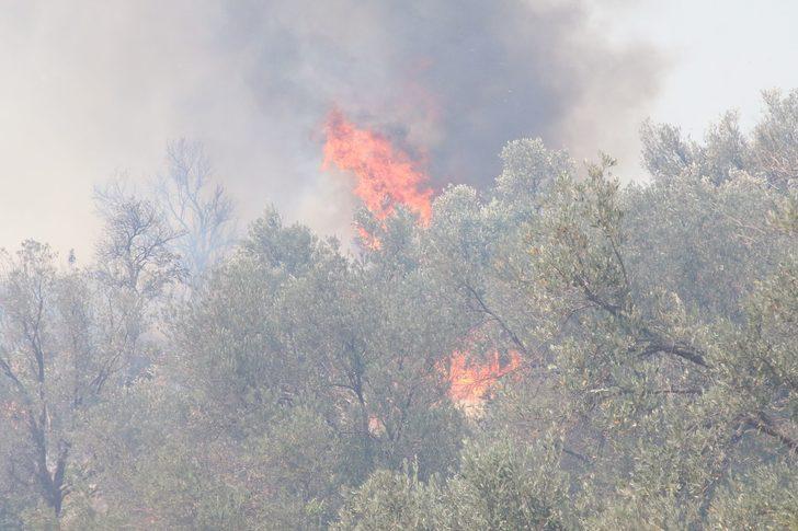 GÜNCELLEME 2 - Antalya'da makilik alanda çıkan yangın kısmen kontrol altına alındı G3