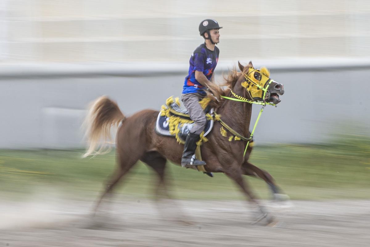 Erzurum'da Atlı Cirit İl M&uuml;sabakaları devam ediyor