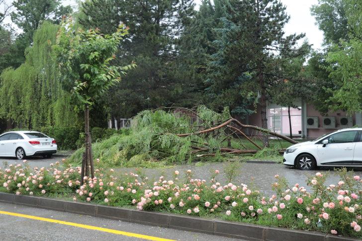Bolu'da sağanak hayatı olumsuz etkiledi G5