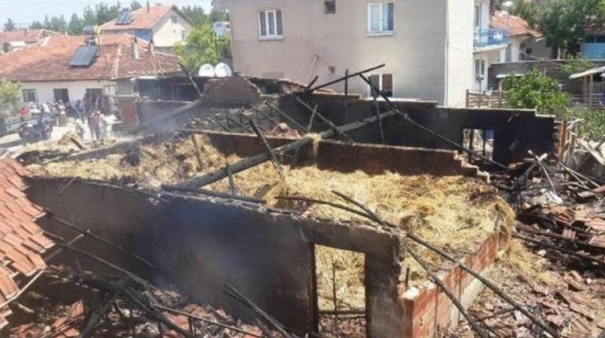 9 inek yangında telef oldu