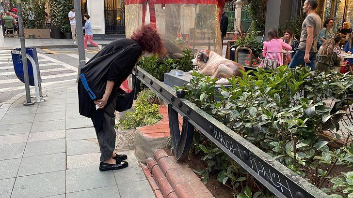 Şişli Belediye Başkanı Muammer Keskin maskot köpeğin heykelini açtı G1