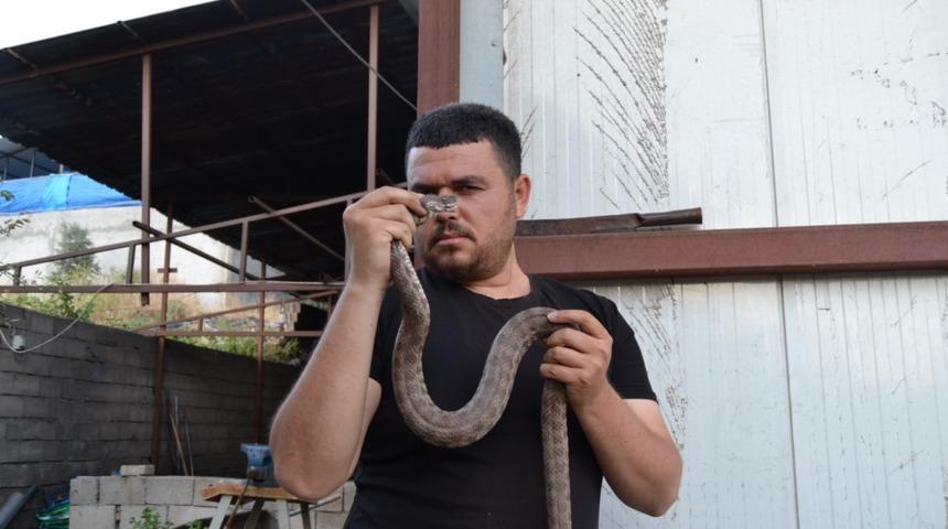 İnsanlar yanına bile yaklaşamıyorken o elleriyle yakaladı! Ona 'Yılancı Mustafa' diyorlar