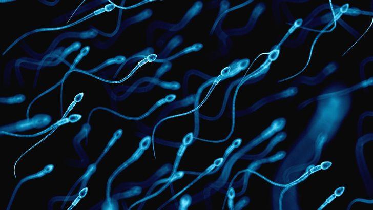 Sağlık araştırması: Vücudumuza karışan bazı kimyasallar erkeklerde sperm kalitesini düşürüyor