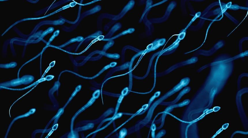 Sağlık araştırması: V&uuml;cudumuza karışan bazı kimyasallar erkeklerde sperm kalitesini d&uuml;ş&uuml;r&uuml;yor