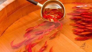 İnanılmaz Balıklar!