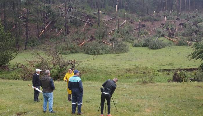Kütahya'da köylüler felaketi yaşadı! Fırtına nedeniyle yüzlerce ağaç devrildi