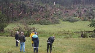 Kütahya'da köylüler felaketi yaşadı! Fırtına nedeniyle yüzlerce ağaç devrildi