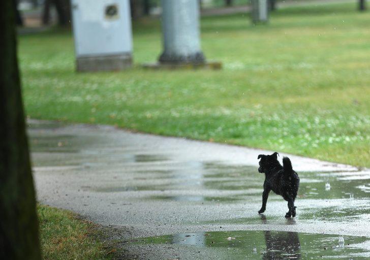 Sakarya, Karabük ve Kocaeli'de sağanak etkili oldu G3