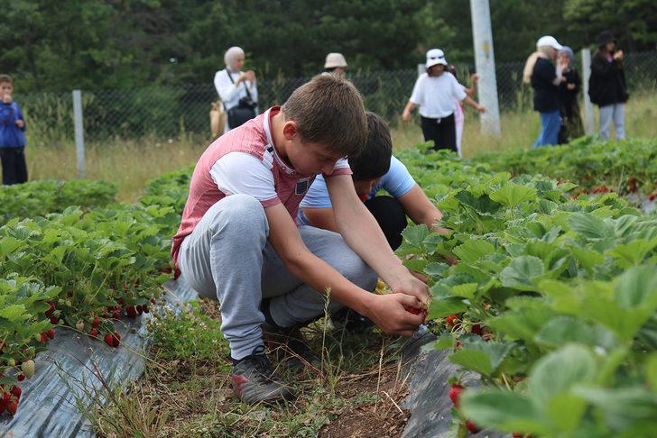 Sakarya'da öğrenciler tarımsal üretimin her aşamasını yerinde öğreniyor G3