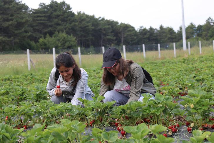 Sakarya'da öğrenciler tarımsal üretimin her aşamasını yerinde öğreniyor G4