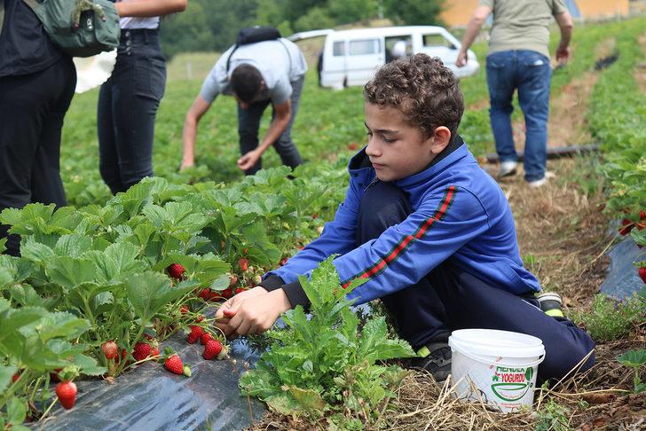 Sakarya'da öğrenciler tarımsal üretimin her aşamasını yerinde öğreniyor G5