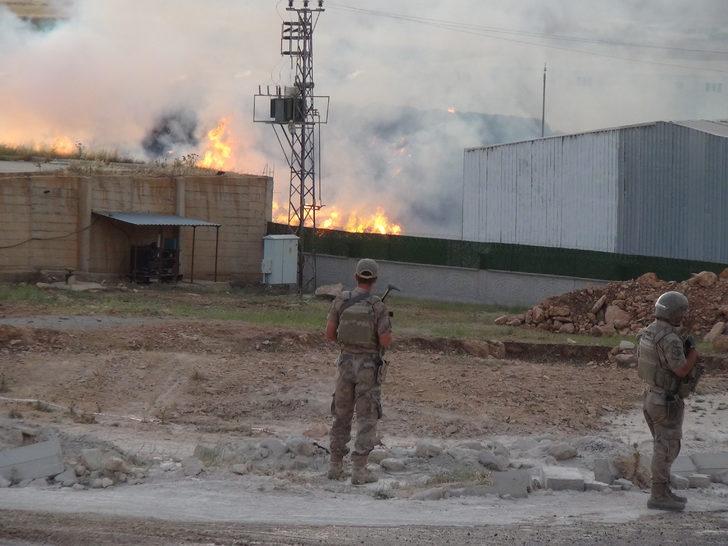 GÜNCELLEME - Şanlıurfa'da biyokütle enerji santralinde çıkan yangına müdahale ediliyor G2