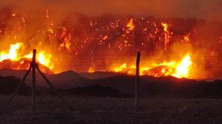 Şanlıurfa'da elektrik üretim tesisinde büyük yangın! İtfaiye ekipleri ve TOMA'lar müdahale etti