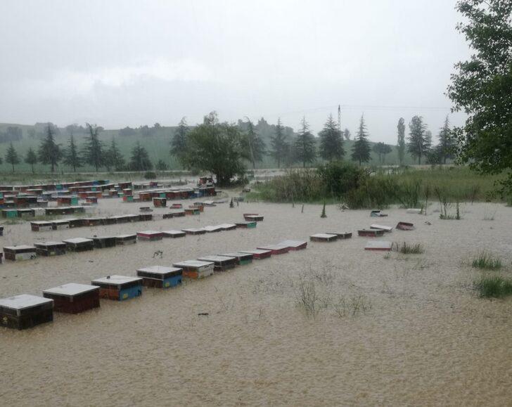 Uşak'ta yağmur nedeniyle derenin taşması sonucu 100 kovan arı telef oldu G1