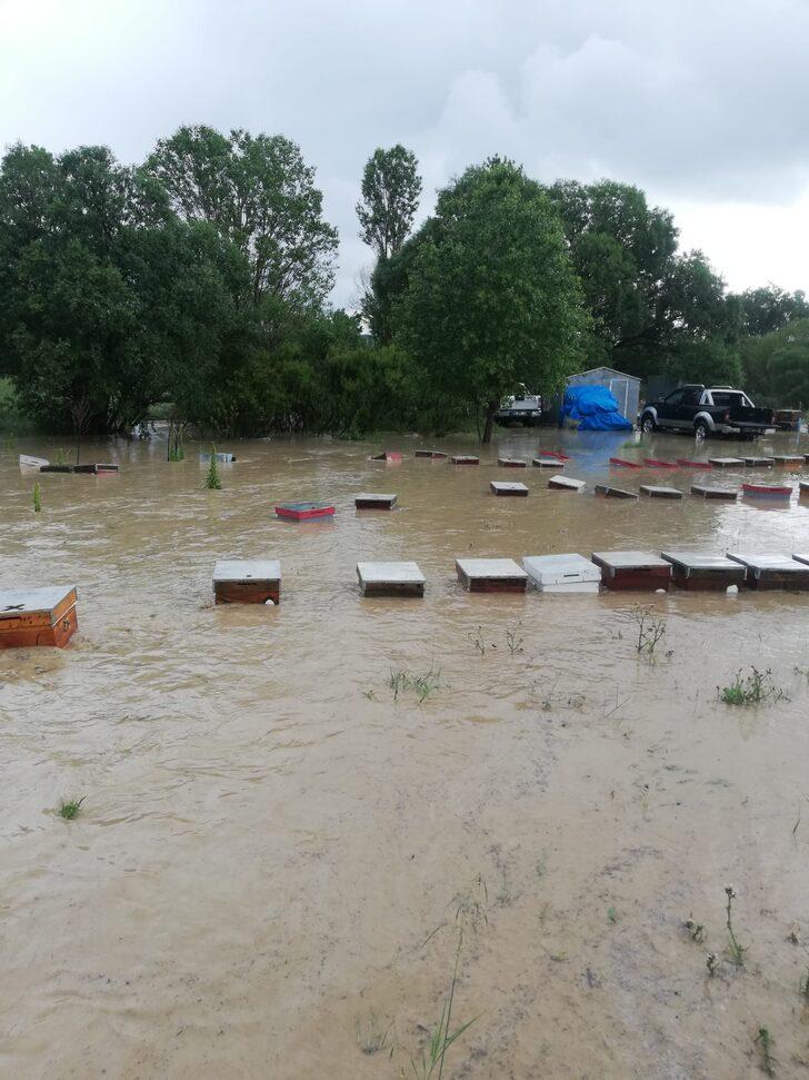 Uşak'ta yağmur nedeniyle derenin taşması sonucu 100 kovan arı telef oldu G2