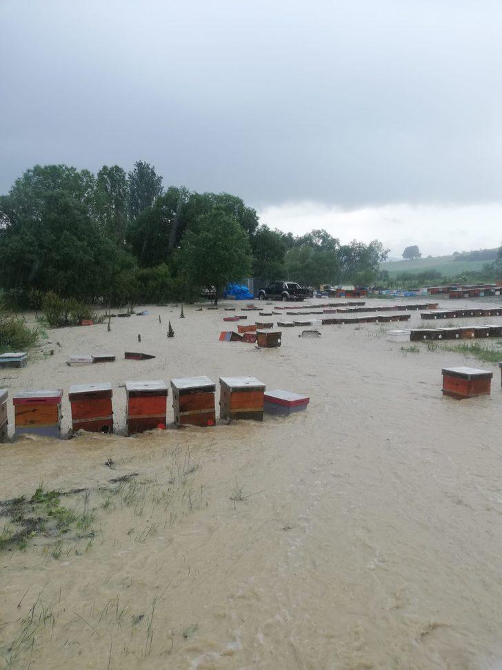Uşak'ta yağmur nedeniyle derenin taşması sonucu 100 kovan arı telef oldu G3