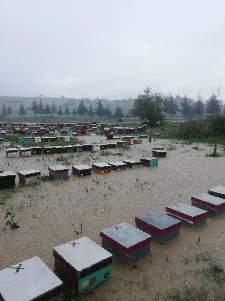 Uşak'ta yağmur nedeniyle derenin taşması sonucu 100 kovan arı telef oldu G4