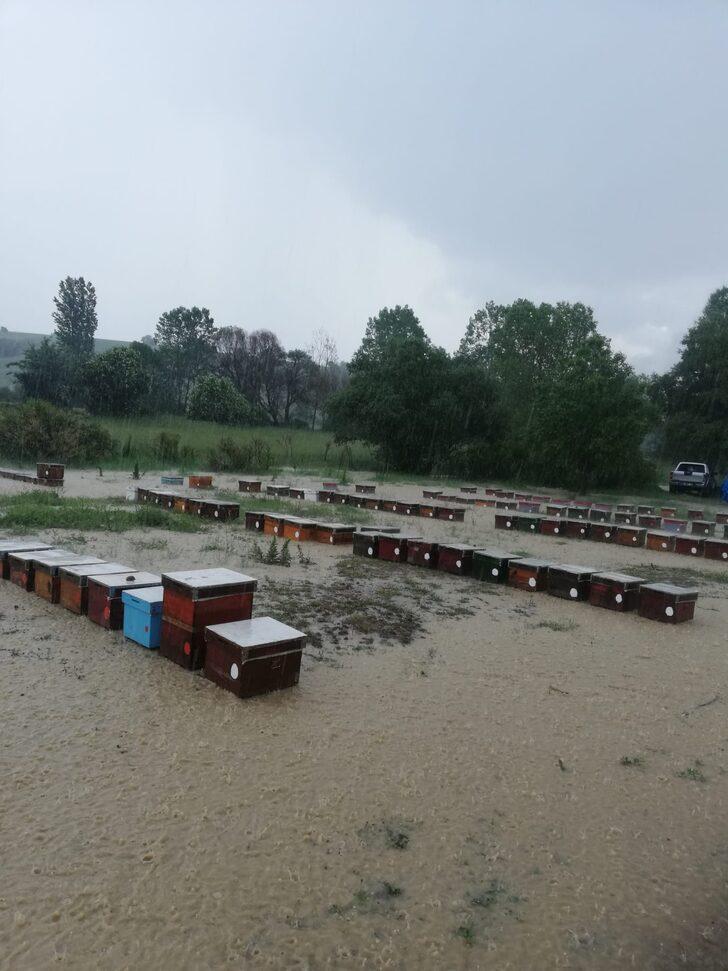 Uşak'ta yağmur nedeniyle derenin taşması sonucu 100 kovan arı telef oldu G5