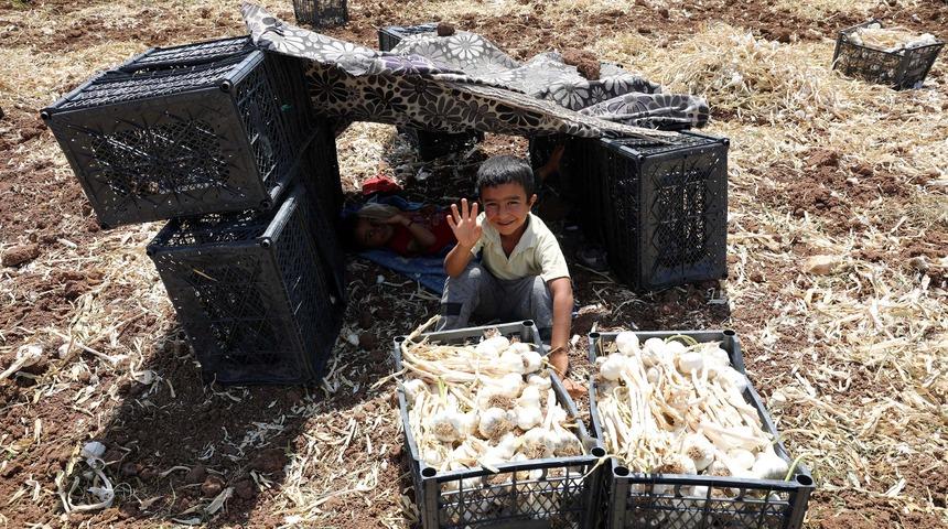 Üretici ile market fiyatı arasındaki fark giderek artıyor! 4 kat yüksekten satılıyor