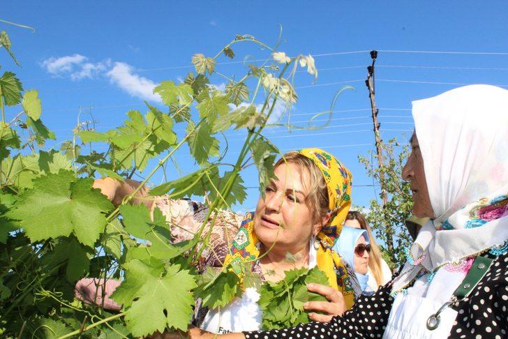 Tokat'ta "Ünlü Şeflerle Lezzet Buluşmaları" etkinliği düzenlendi G3