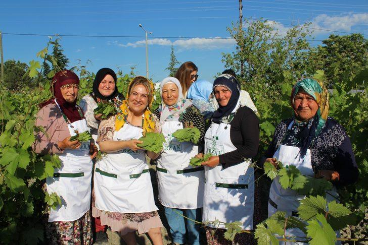 Tokat'ta "Ünlü Şeflerle Lezzet Buluşmaları" etkinliği düzenlendi G4