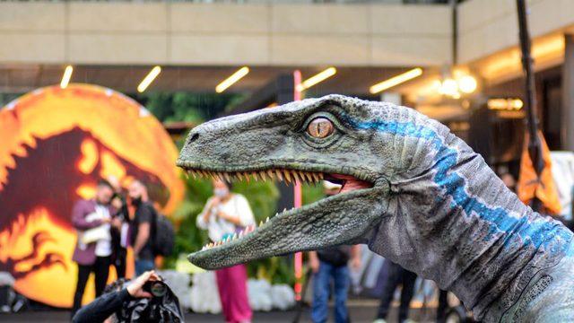 Jurassic Park'ın sanatsal lisans örneklerinden biri de, gerçekte çok daha küçük ve tüylü olduğunu düşünülen Velociraptor.