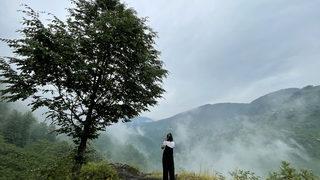 Yağışların sürdüğü Düzce'deki yaylalarda sessizlik hakim