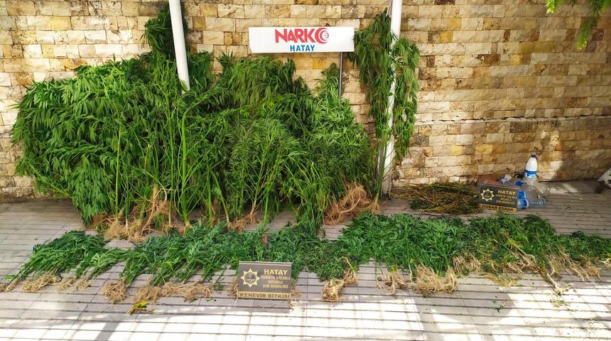 Hatay'da uyuşturucu operasyonunda Hint keneviri ve esrar ele geçirildi
